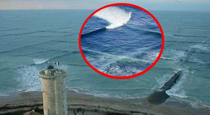 Vagues se croisant près du rivage