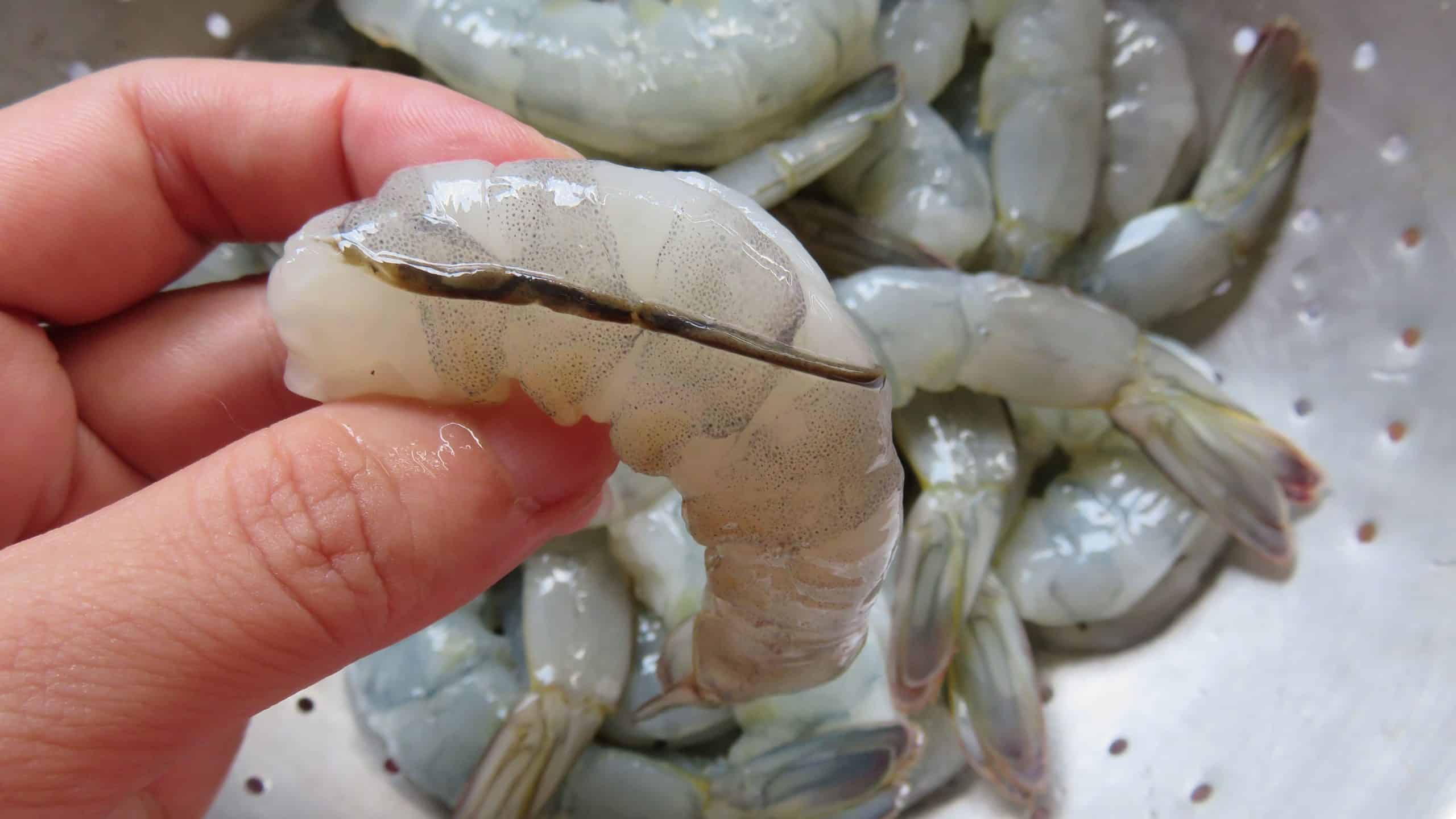 Crevettes cuites avec leur veine