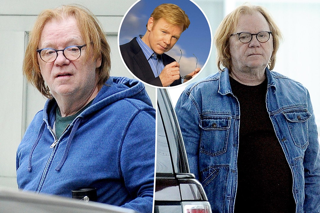 David Caruso en pleine gloire