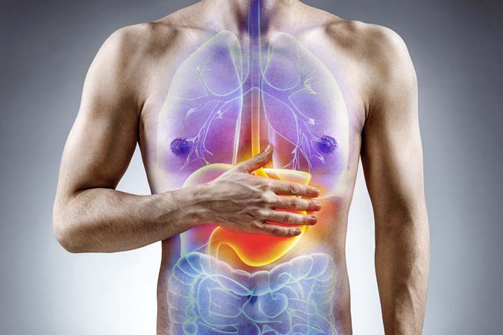 Digestion : une position bénéfique pour l'estomac