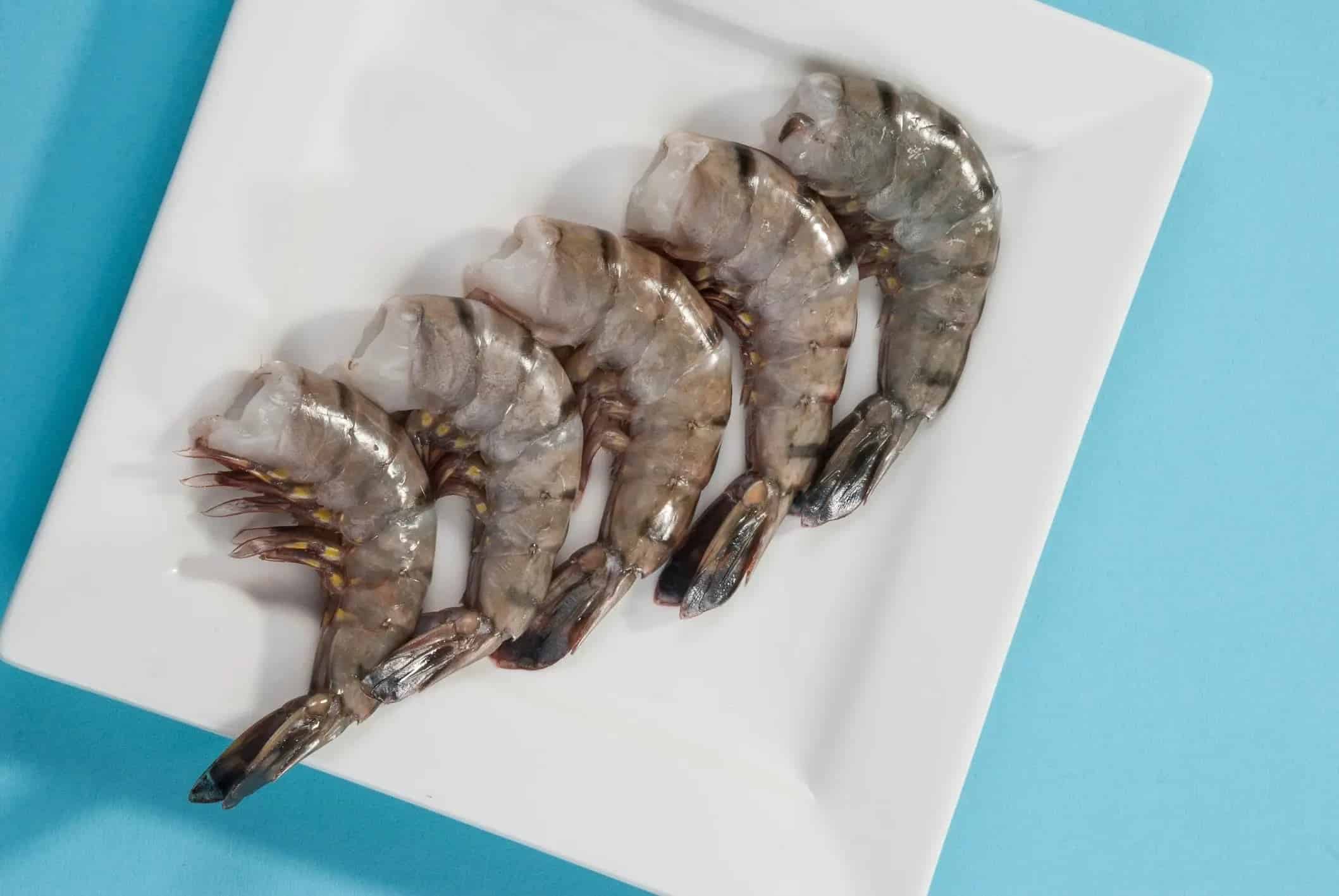 Crevettes Black Tiger avec leur veine visible