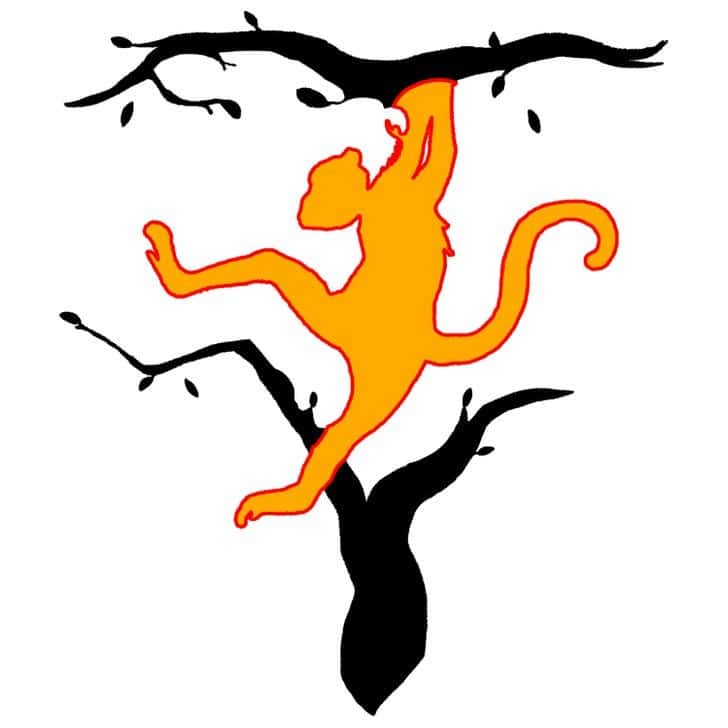 Test visuel cerveau gauche/droit - singe