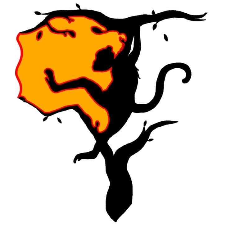 Test visuel cerveau gauche/droit - tigre
