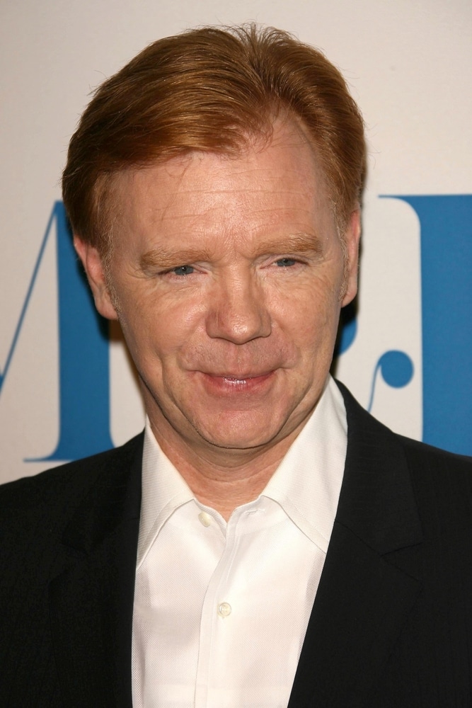 David Caruso dans Les Experts : Miami