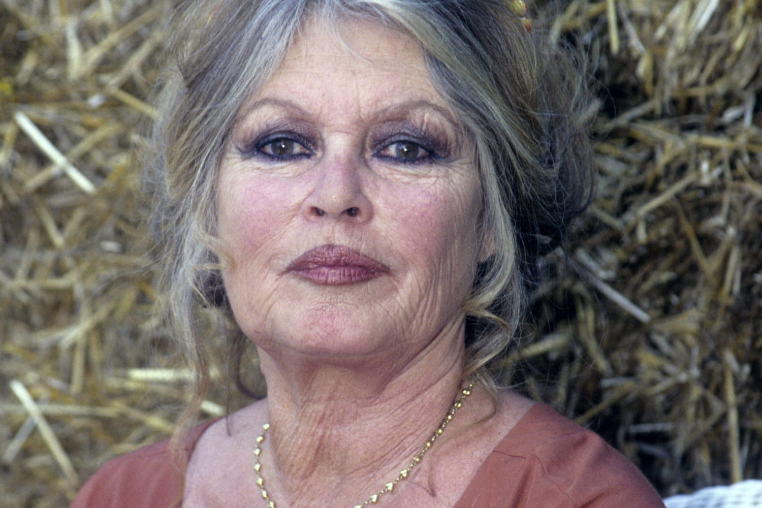 Brigitte Bardot plus &acirc;g&eacute;e, regard pensif