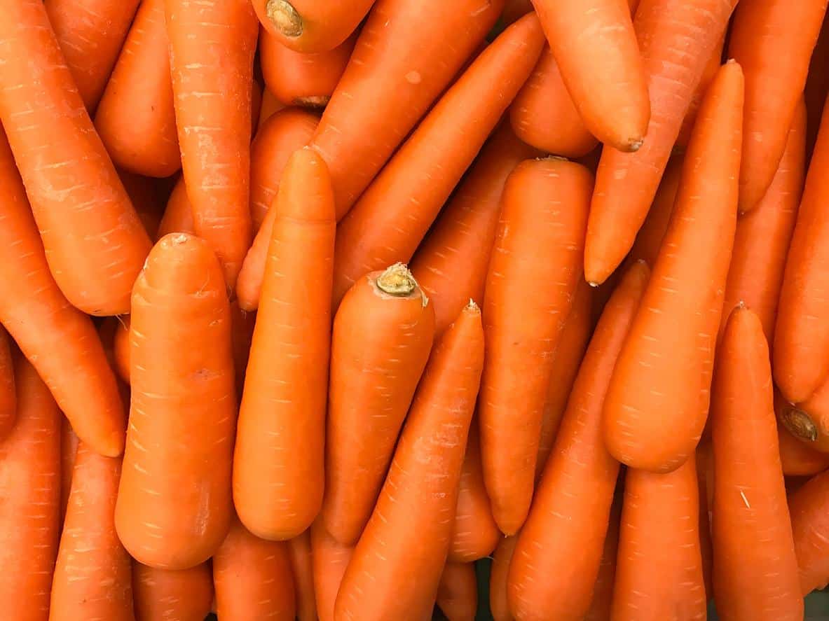 Carottes fraîches