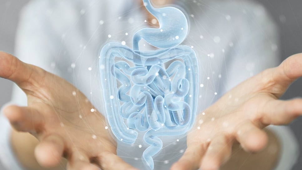 Tasse d'infusion chaude et bol de plantes aromatiques sur une table