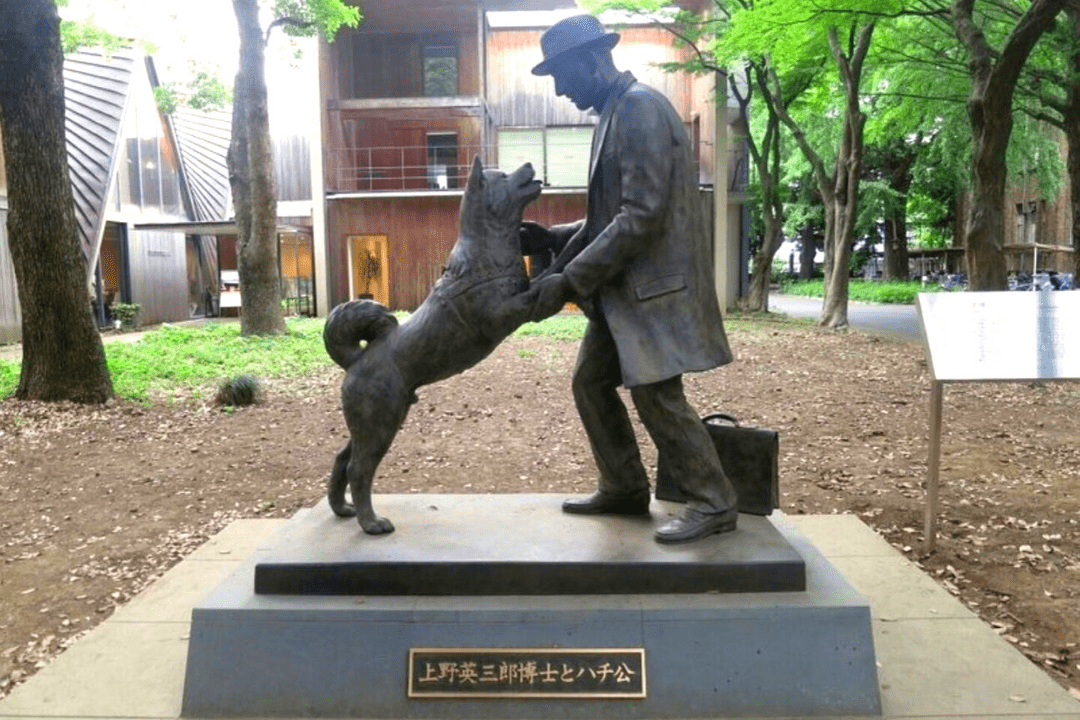 Statue d’Hachiko à Shibuya
