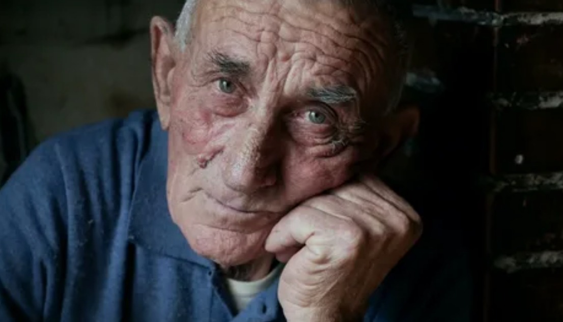 Un chaton gris et blanc, nomm&eacute; &Eacute;tincelle, regardant la cam&eacute;ra