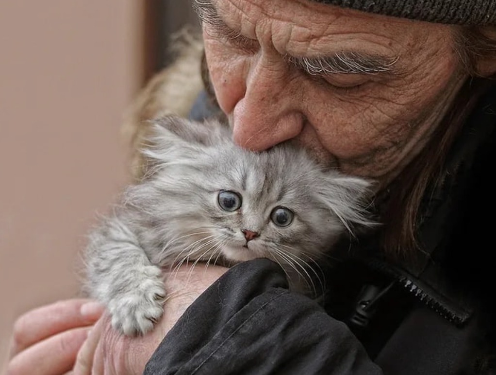 Un homme &acirc;g&eacute;, sa petite-fille et un chaton, souriants dans un int&eacute;rieur en r&eacute;novation