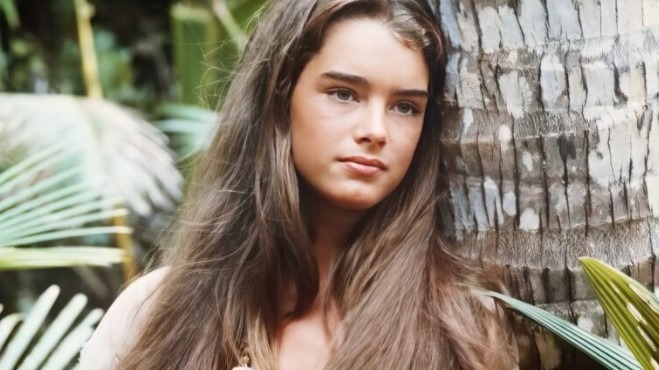 Brooke Shields, portrait