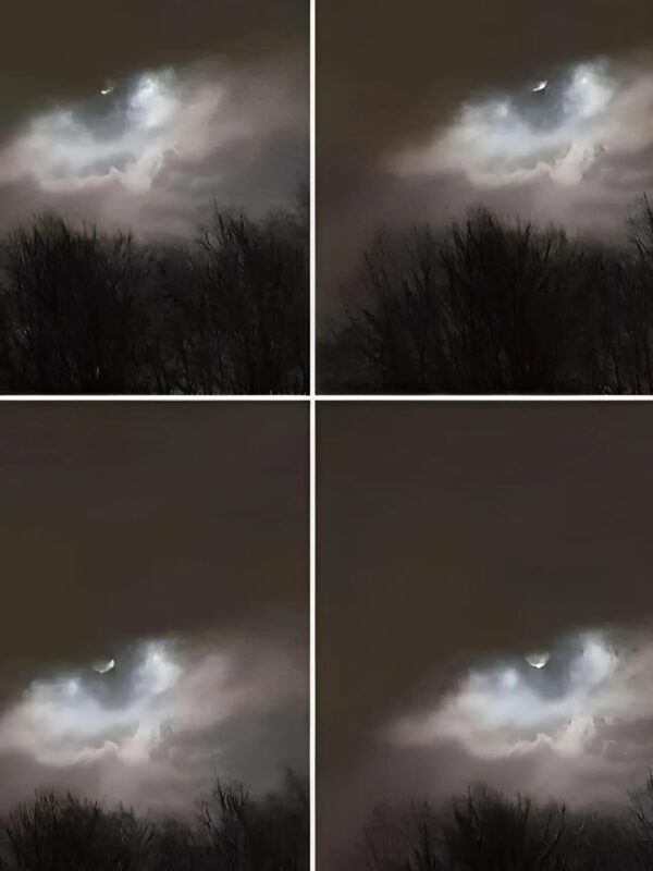 Autre angle de vue montrant le contexte g&eacute;n&eacute;ral du ciel et de la mer