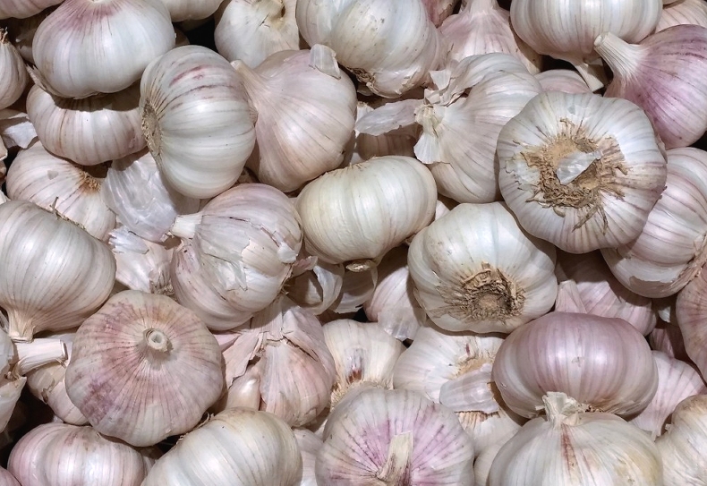 Gousses d'ail fraîches sur un fond naturel