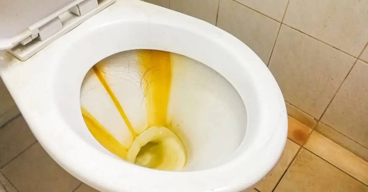 Nettoyage écologique des toilettes