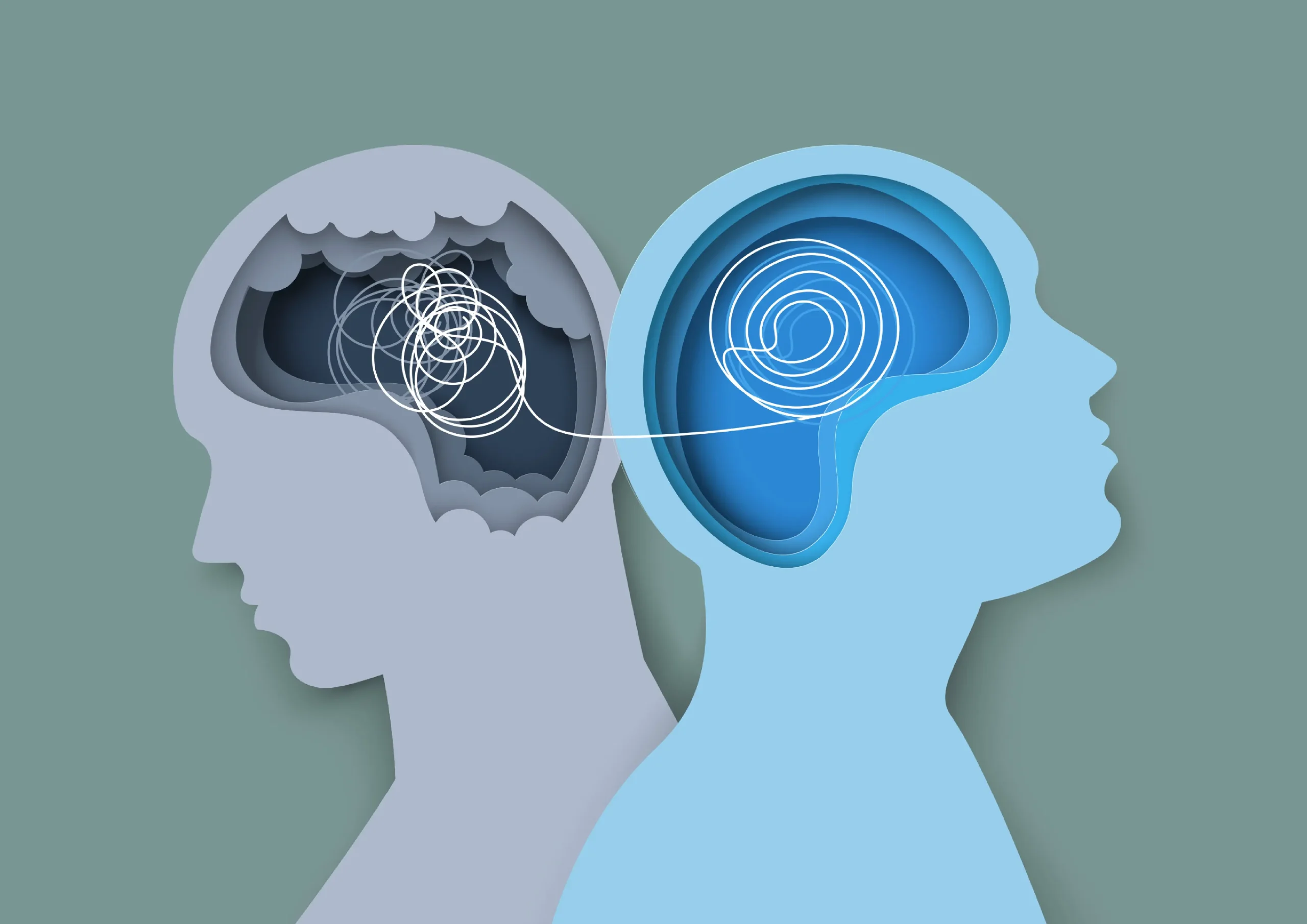 Représentation de l'empathie dans le cerveau