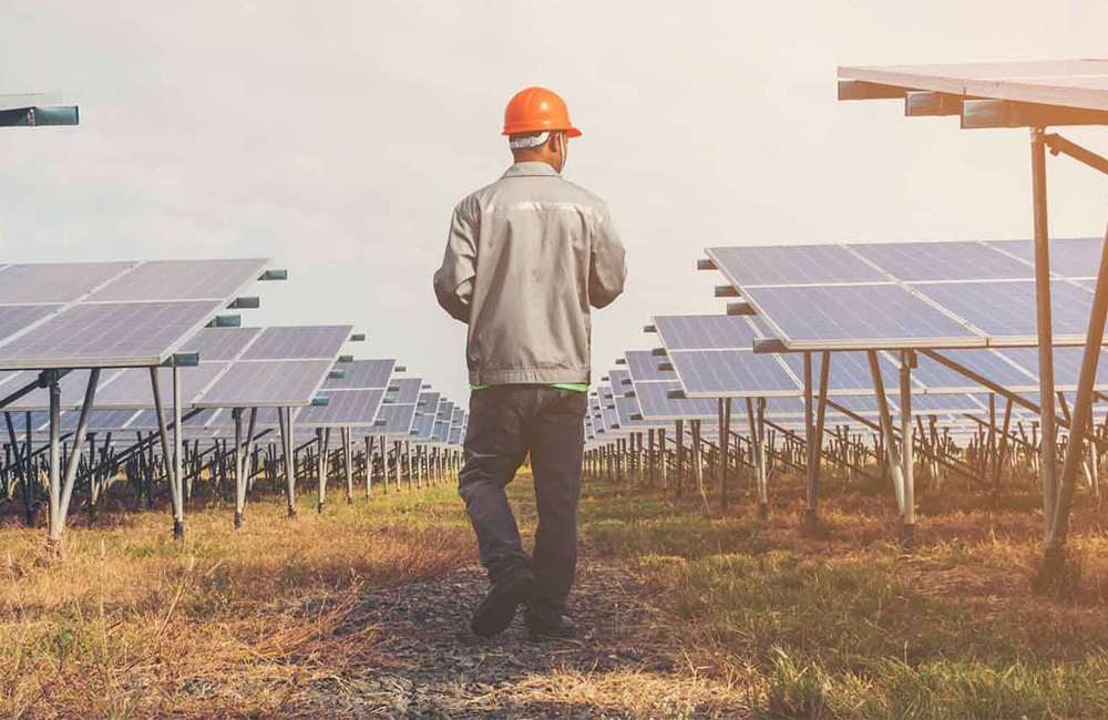 Panneaux solaires dans un champ avec un expert &agrave; l'arri&egrave;re-plan