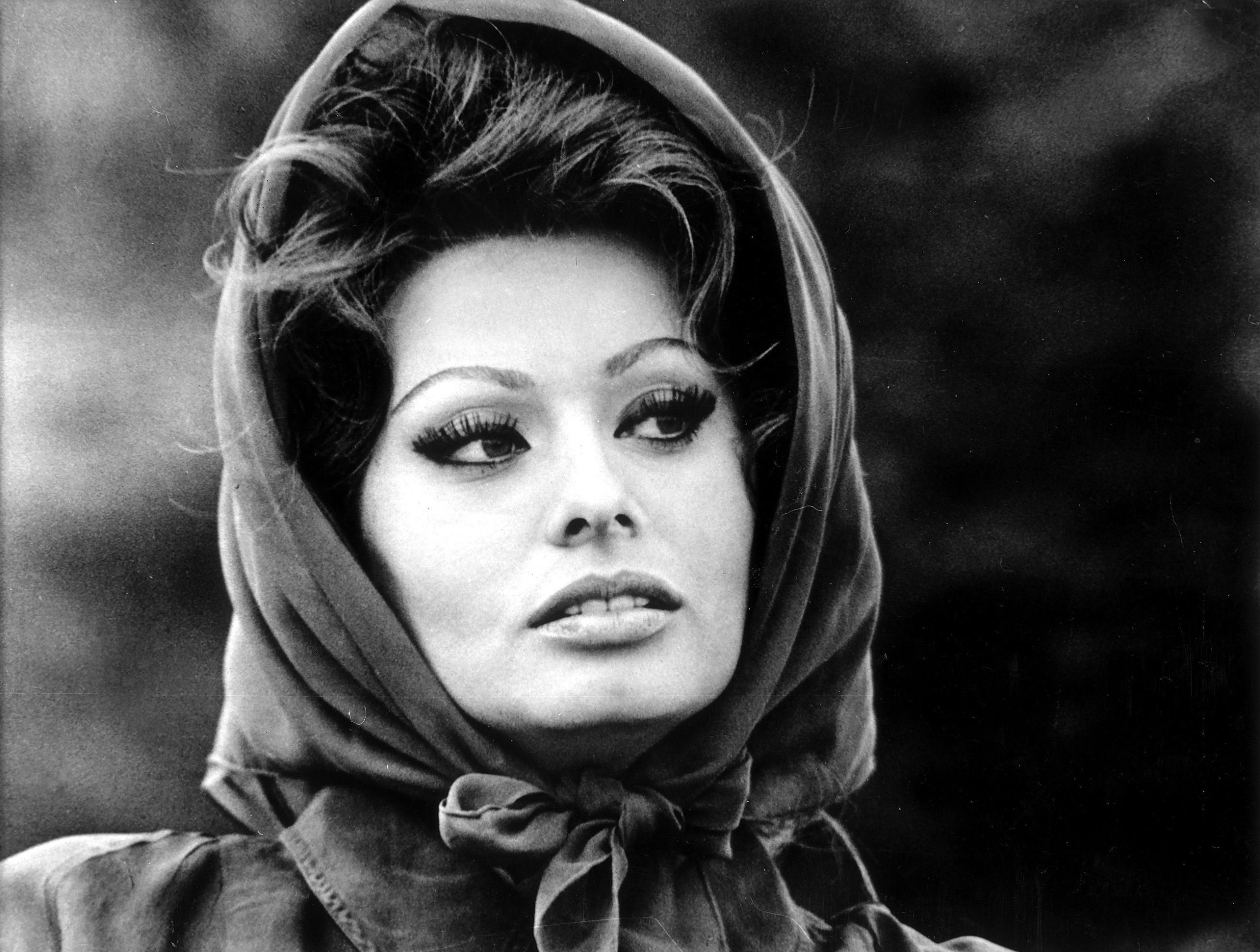 Sophia Loren et Carlo Ponti lors d'un &eacute;v&eacute;nement public