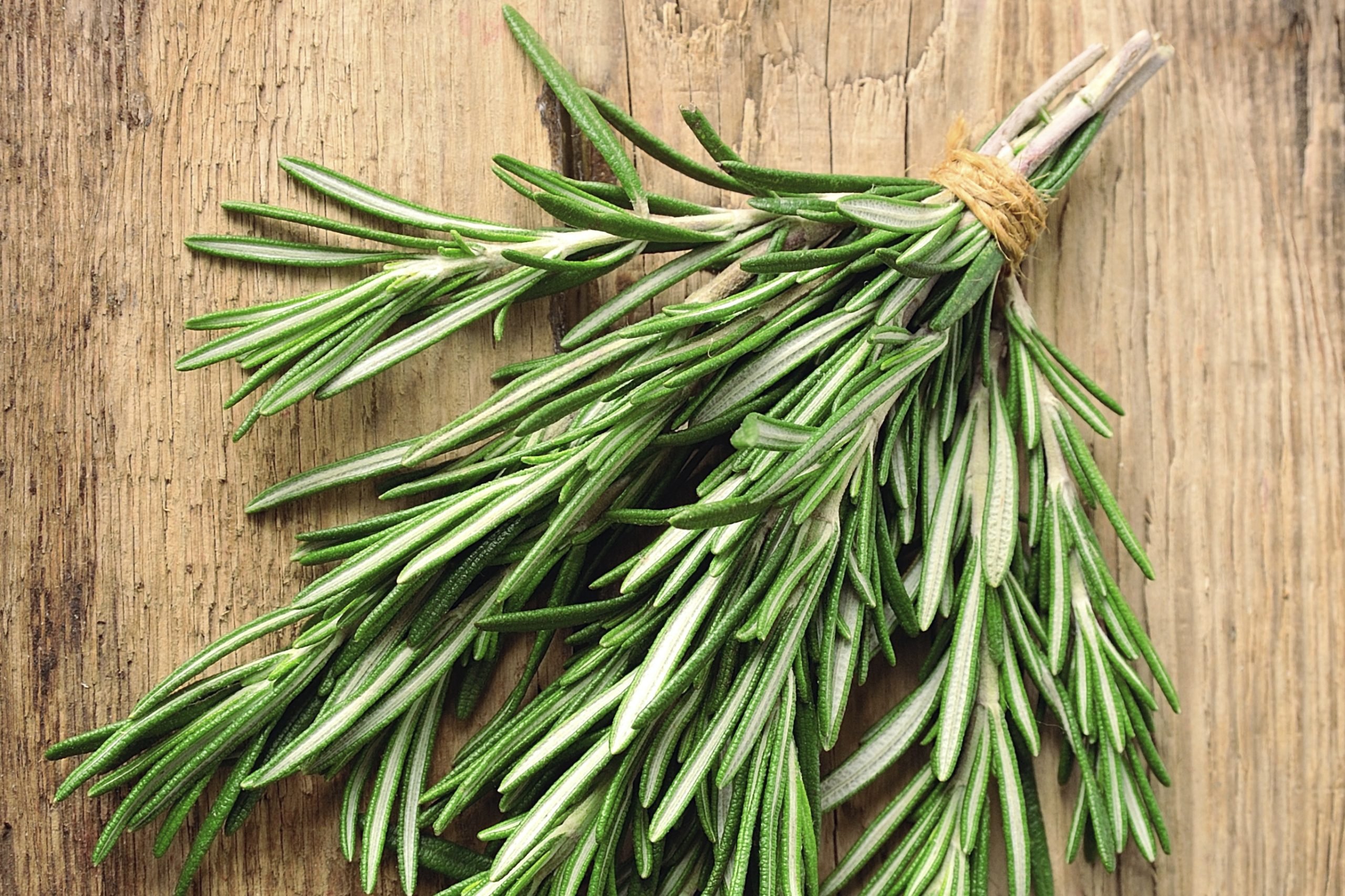 Huile essentielle de romarin