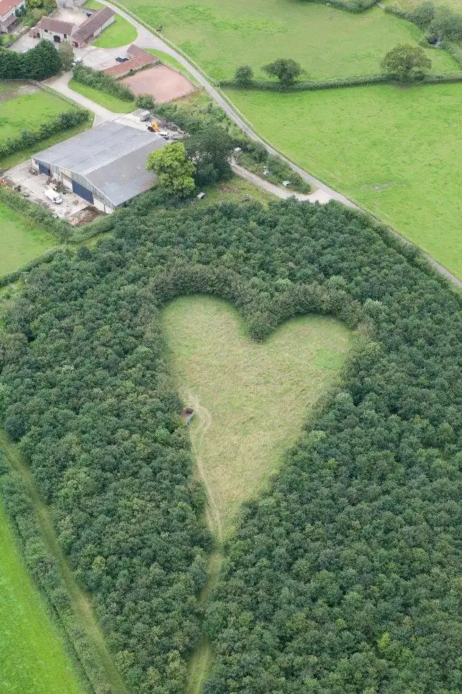 Vue a&eacute;rienne d'une for&ecirc;t en forme de c&oelig;ur parfaite