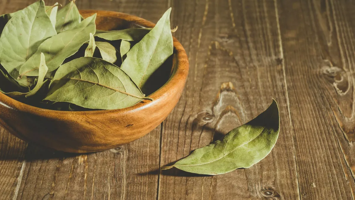 Feuilles de laurier séchées, déposées sur un tissu naturel