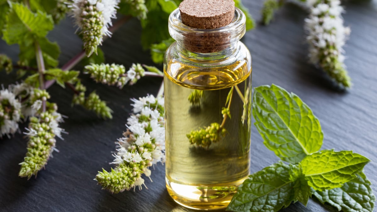Flacon d'huile essentielle de menthe poivrée