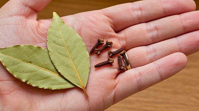 Mélange d'épices et de feuilles séchées pour soin capillaire