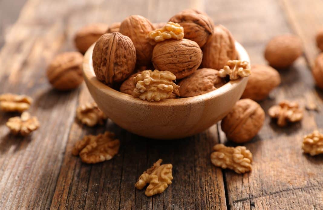 Des cerneaux de noix fra&icirc;chement ouverts