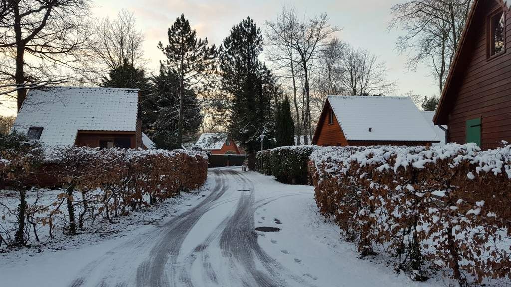 Traces d'animaux dans la neige pr&egrave;s d'habitations