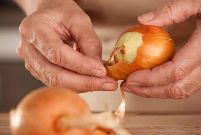Pelures d'oignon utilisées comme engrais naturel