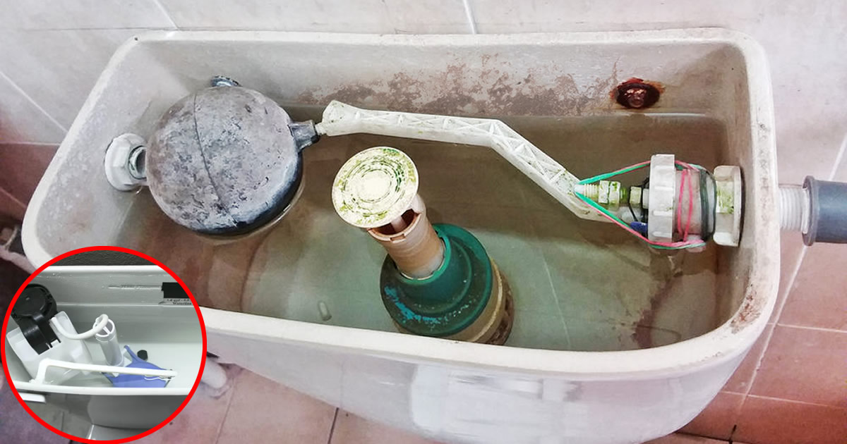 Photo d'une personne nettoyant l'intérieur du réservoir des toilettes avec une éponge