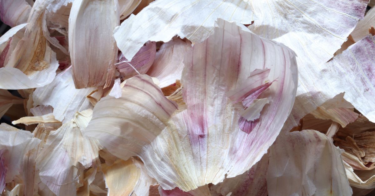 &Eacute;pluchures d'ail dans une main, pr&egrave;s de plantes vertes