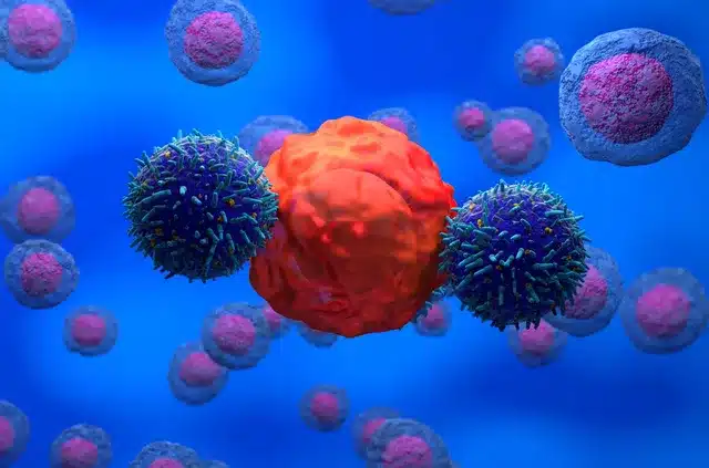 Schéma illustrant le mécanisme d'action des cellules CAR-T