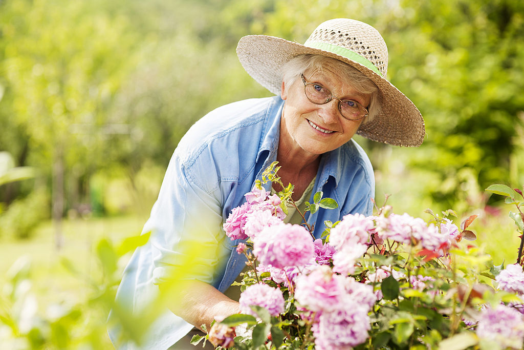Dame âgée souriante jardinant parmi les fleurs