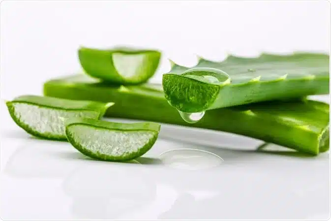 Aloe vera et vitamine E