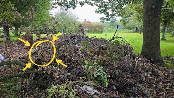 Solution du d&eacute;fi visuel avec un cercle indiquant o&ugrave; se cache le chien