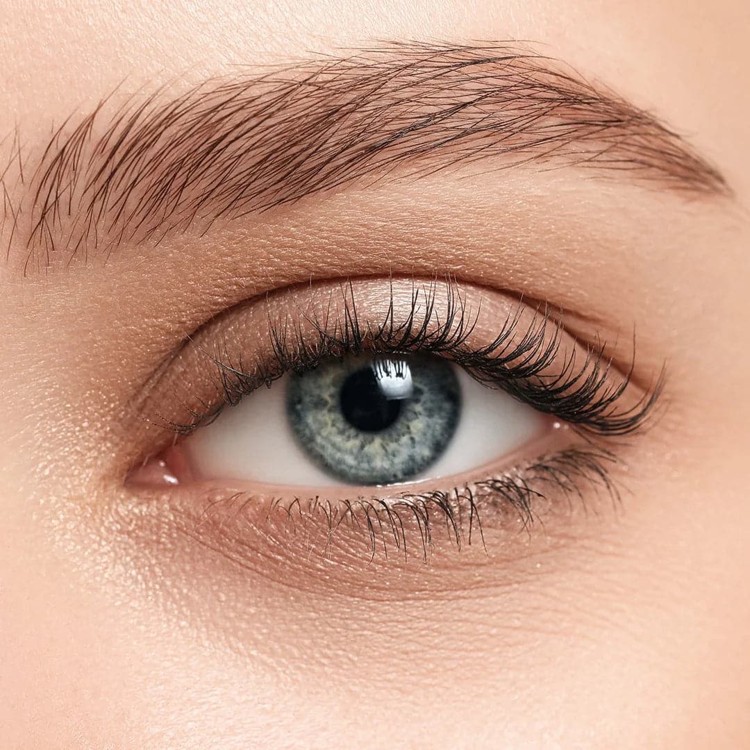 Sourcils après utilisation régulière du sérum