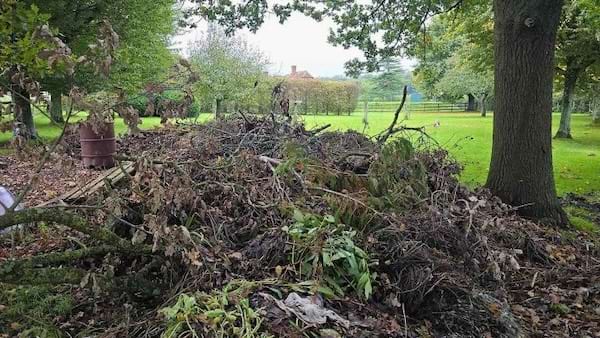 Image d'un d&eacute;fi visuel montrant un tas de bois et de feuilles o&ugrave; un chien est cach&eacute;